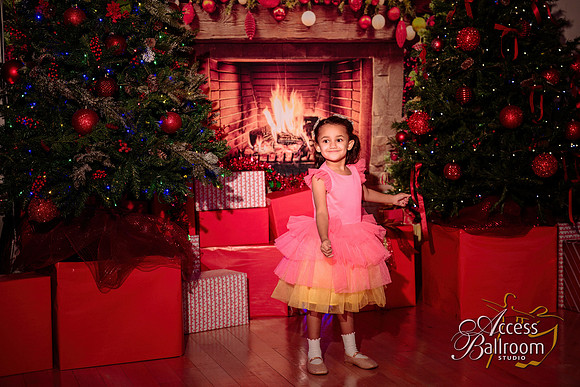 Access Bookroom - annual Christmas Social Dance Party