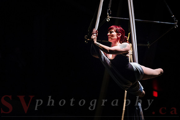 Circus Sessions