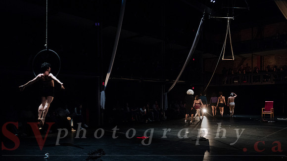 Circus Sessions