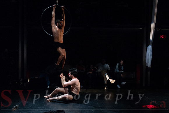 Circus Sessions