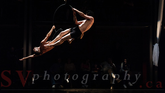 Circus Sessions
