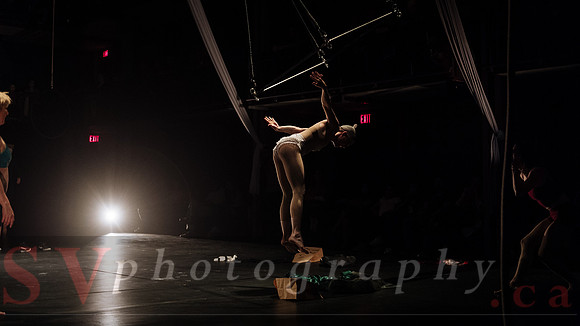 Circus Sessions