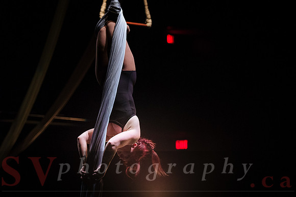 Circus Sessions