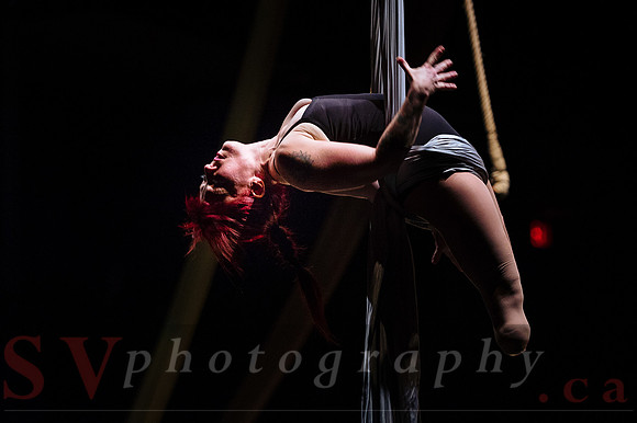 Circus Sessions