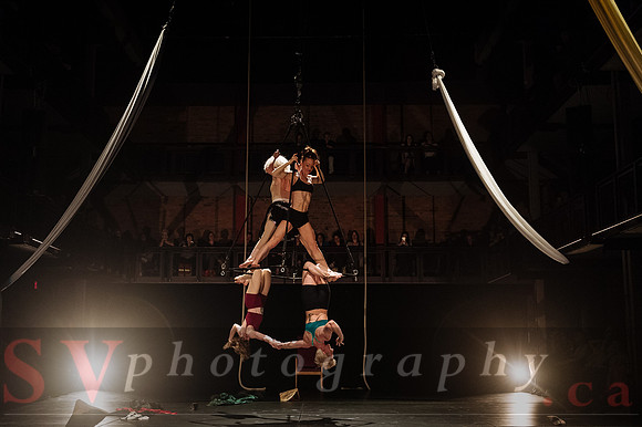 Circus Sessions