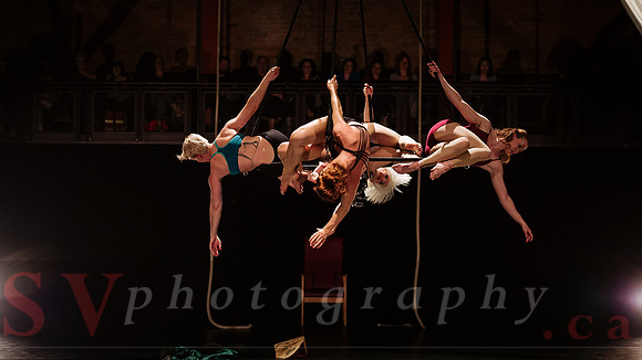 Circus Sessions