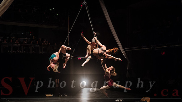 Circus Sessions