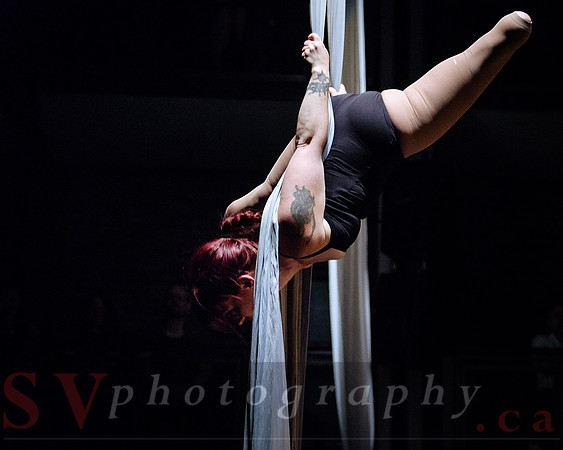 Circus Sessions