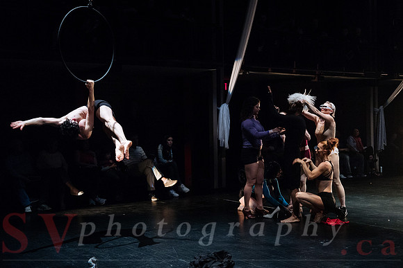 Circus Sessions
