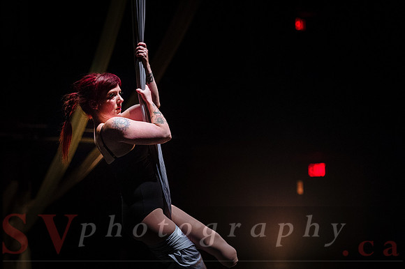 Circus Sessions
