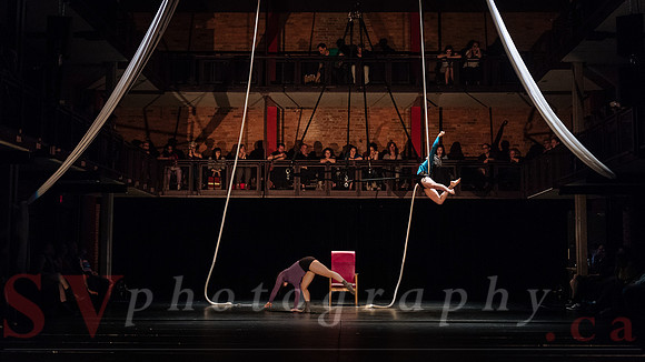 Circus Sessions