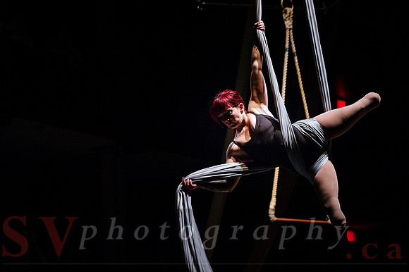 Circus Sessions