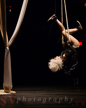 Circus Sessions