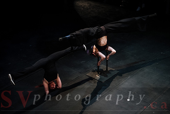 Circus Sessions
