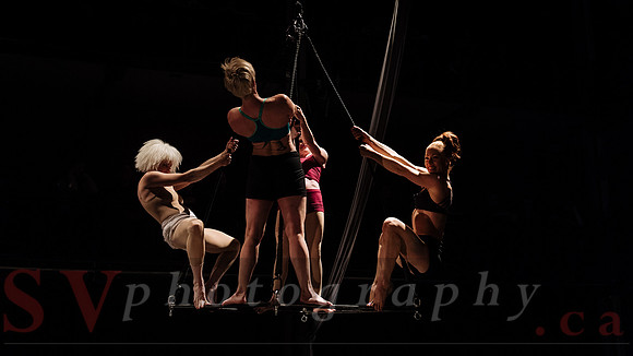 Circus Sessions