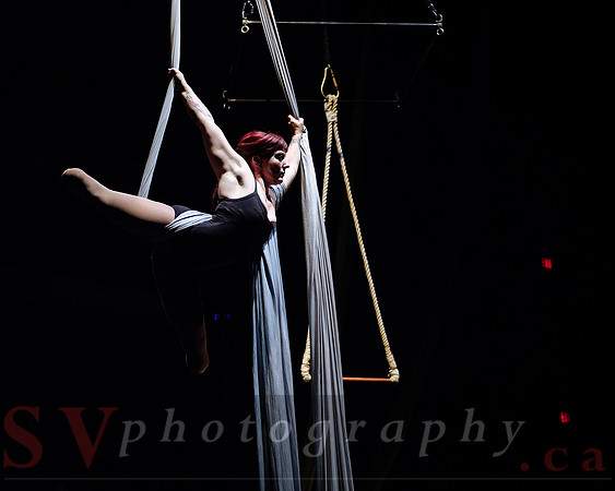 Circus Sessions