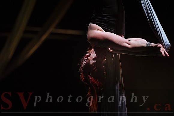 Circus Sessions