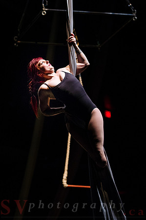 Circus Sessions