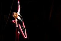 Circus Sessions - Fred Deb Solo Performance