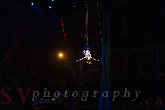 Circus Sessions