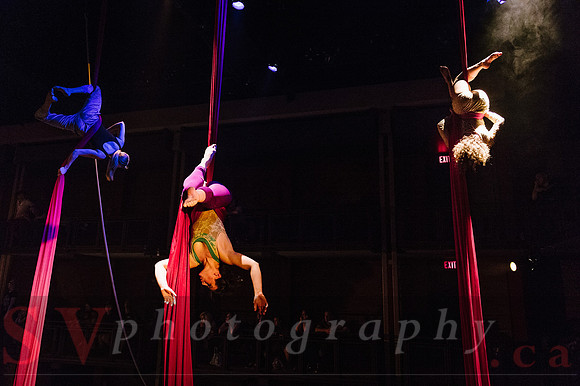 Circus Sessions