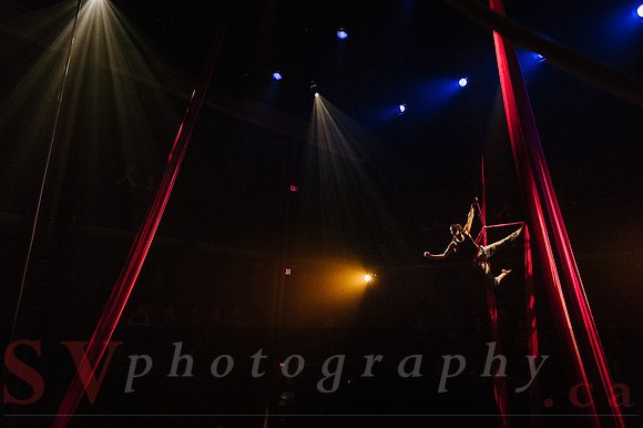 Circus Sessions