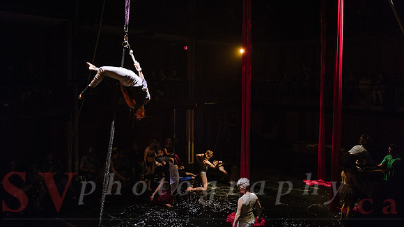 Circus Sessions