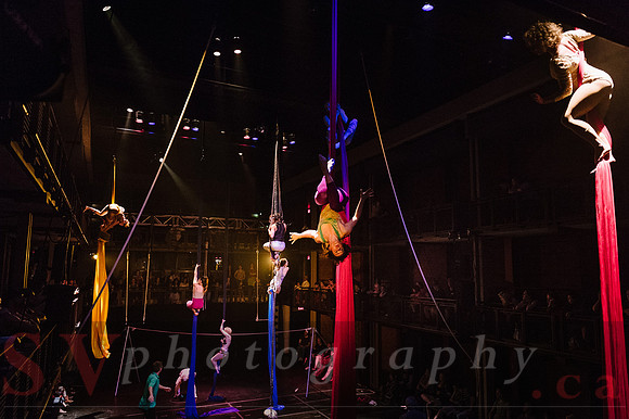 Circus Sessions