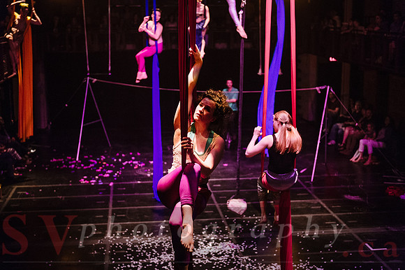 Circus Sessions
