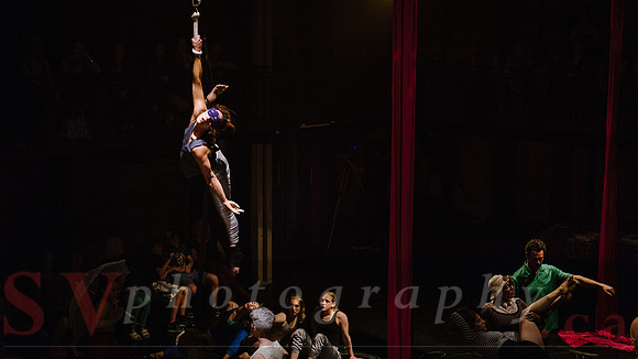 Circus Sessions