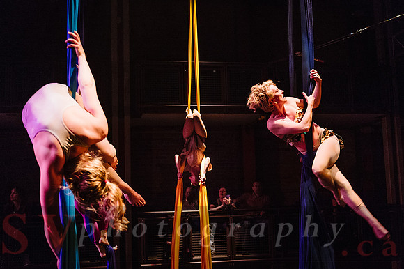 Circus Sessions