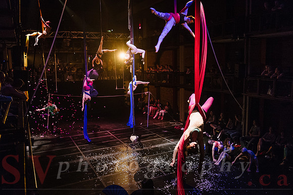 Circus Sessions