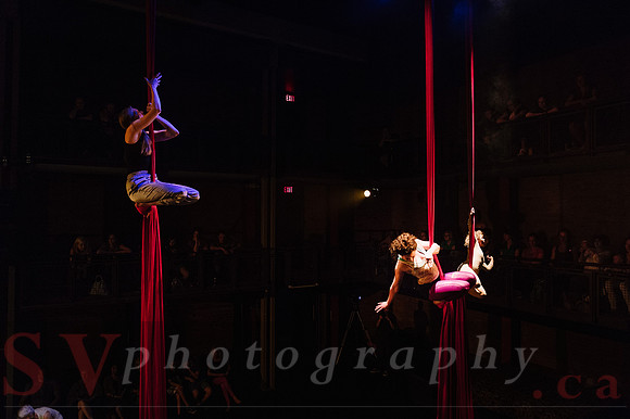 Circus Sessions