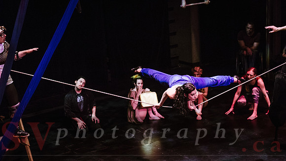 Circus Sessions