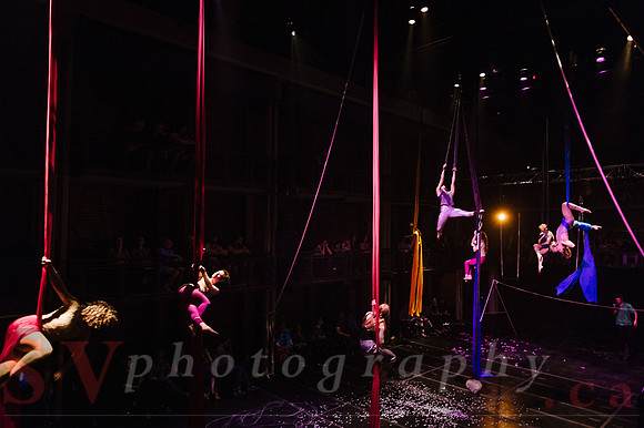 Circus Sessions