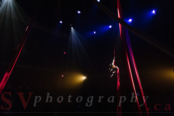 Circus Sessions
