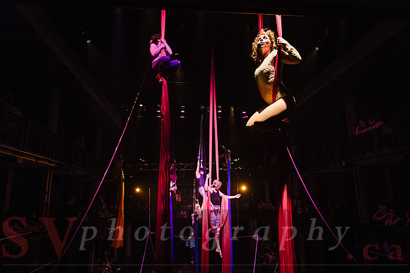 Circus Sessions