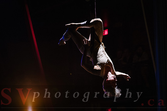 Circus Sessions