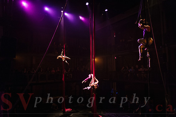 Circus Sessions