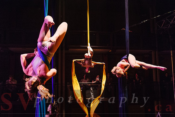 Circus Sessions