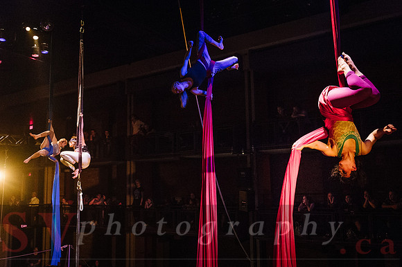 Circus Sessions