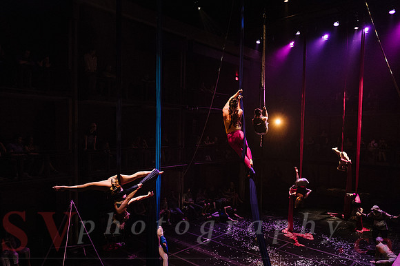 Circus Sessions