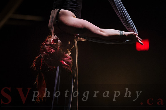 Circus Sessions