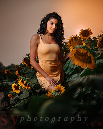 At the Farm