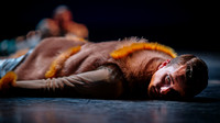 Rock Bottom Movement - Dance Ontario Dance Weekend 2017