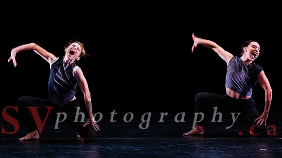 Fall For Dance North's third International Presenters Program (I
