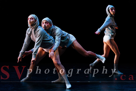 Fall For Dance North's third International Presenters Program (I