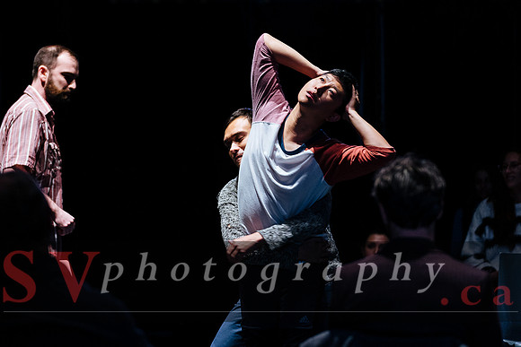 Fall For Dance North's third International Presenters Program (I