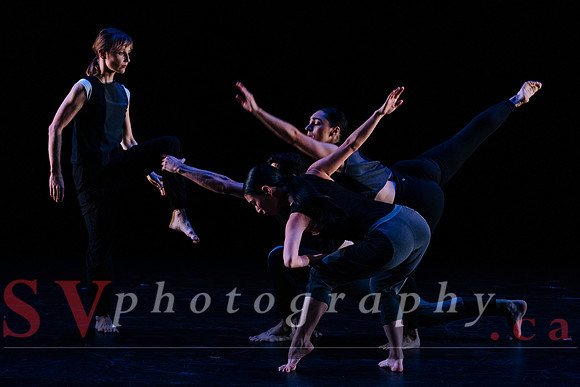 Fall For Dance North's third International Presenters Program (I