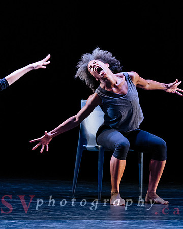 Fall For Dance North's third International Presenters Program (I